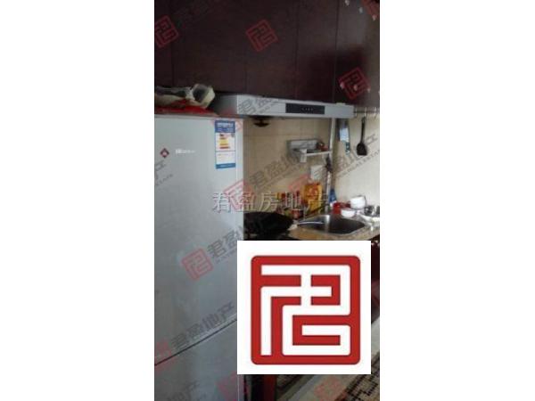 超大社区罕见户型，1房 翠屏凤凰水城（南岸） 精装 46.0m² 60.万 河西