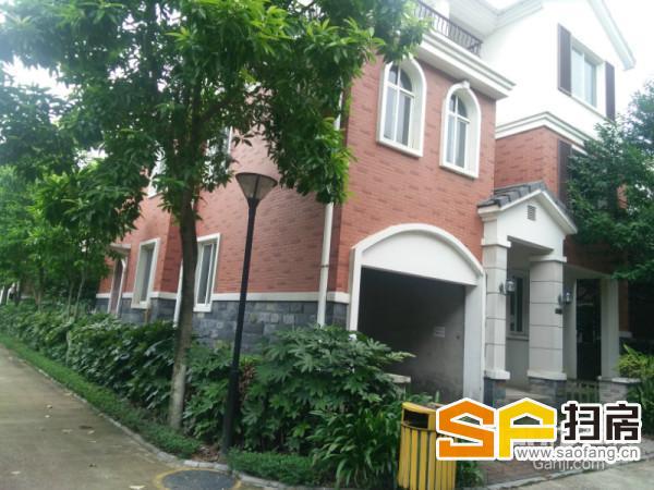麒麟湾独栋别墅 占地375 建筑295 210万